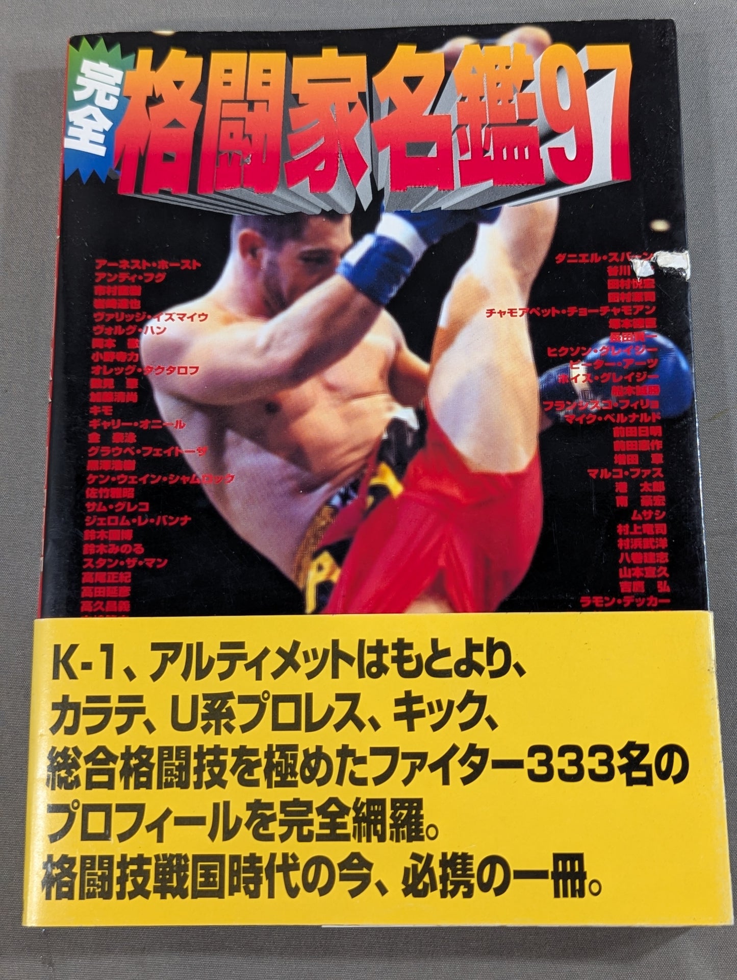 完全格闘家名鑑’97