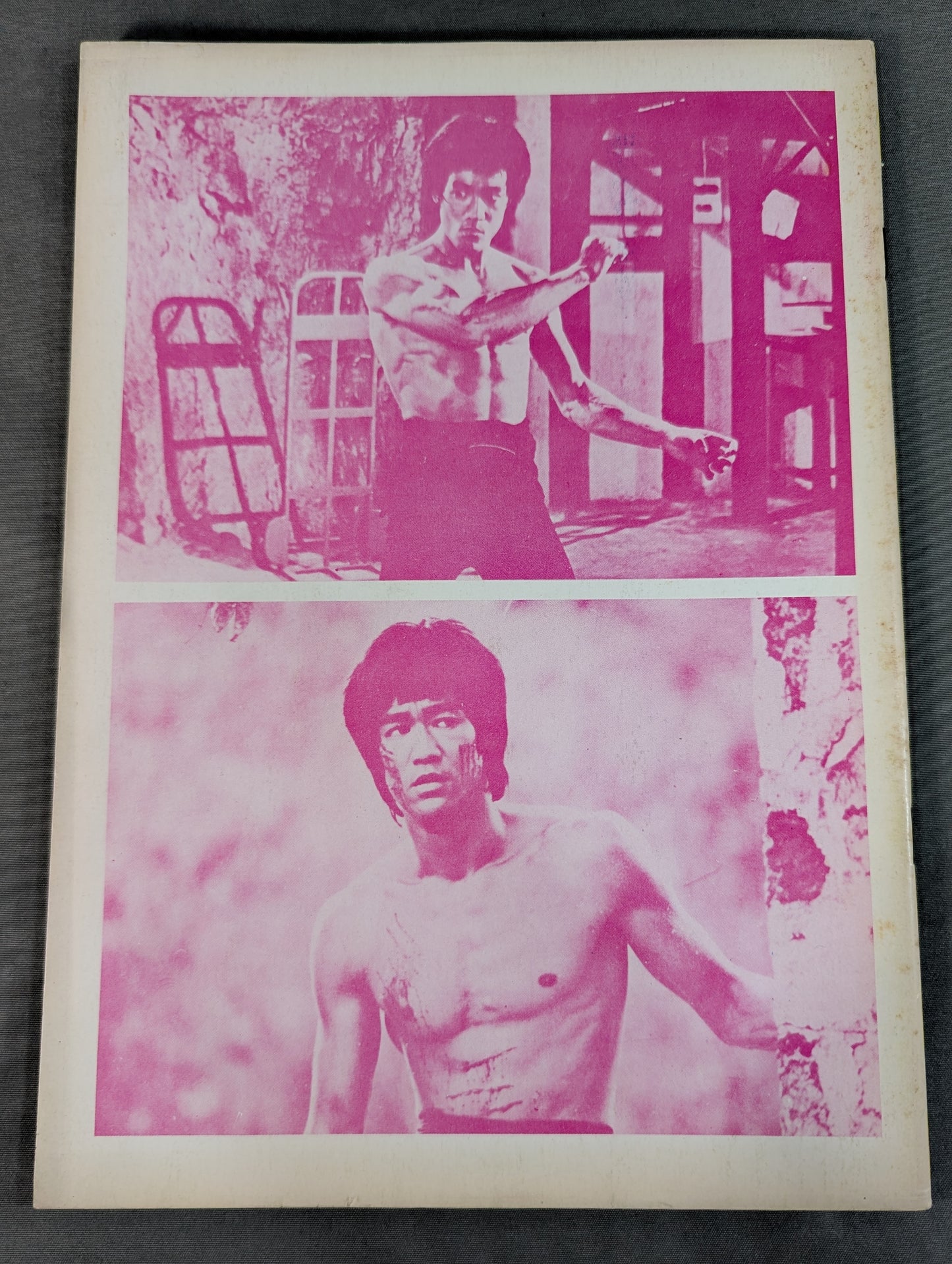 李小龍 正本 李小龍寶鑑