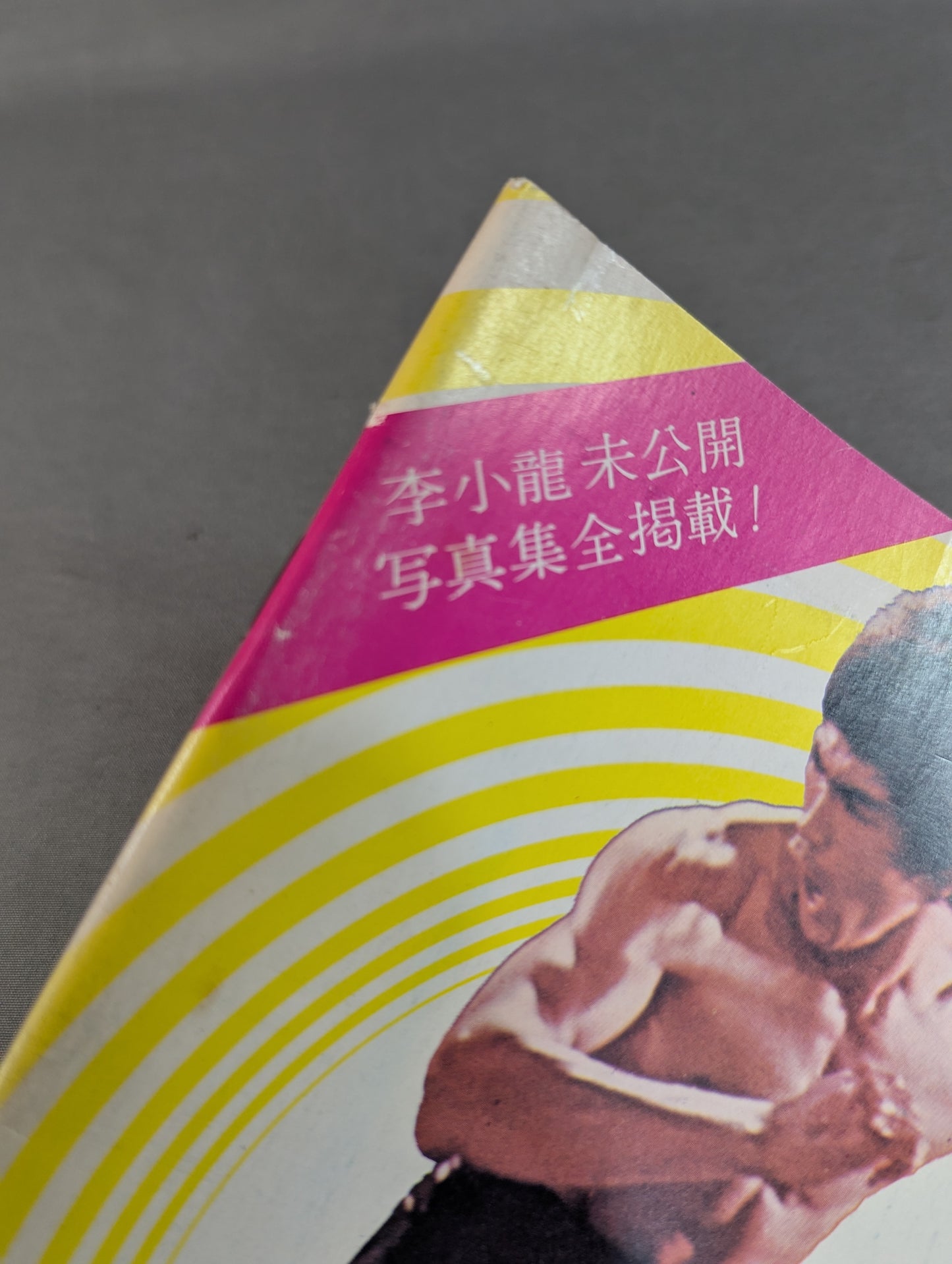 李小龍 正本 李小龍寶鑑