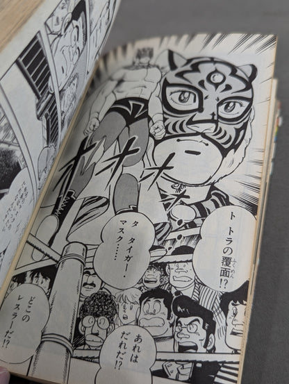 True story manga Tiger mask