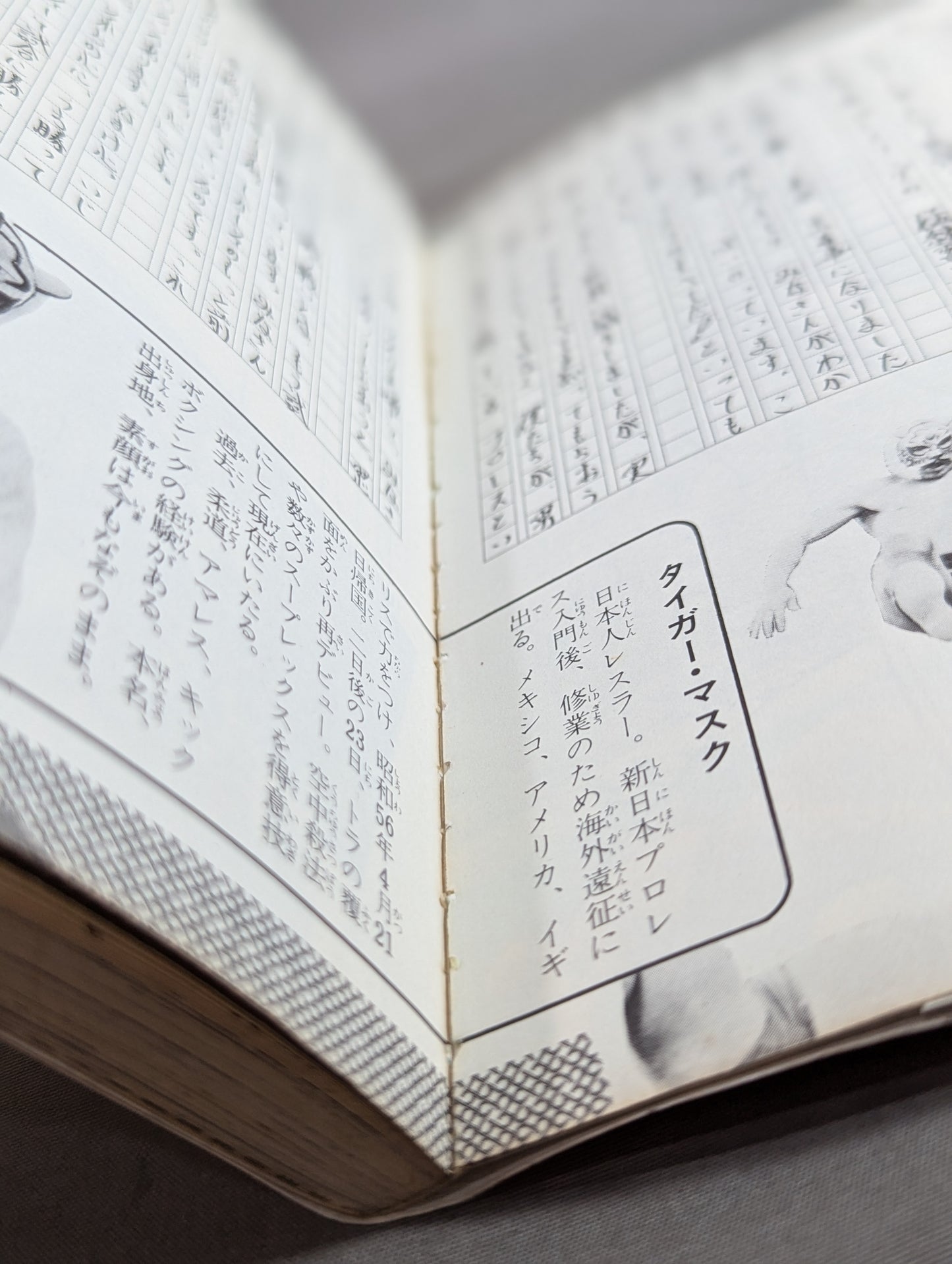 True story manga Tiger mask