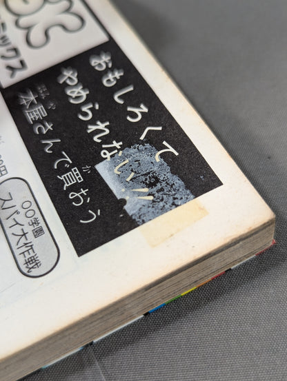 True story manga Tiger mask