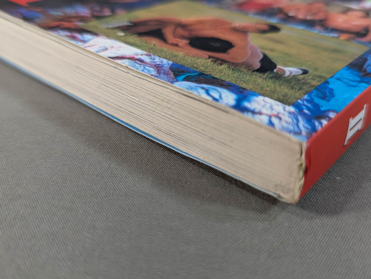 あの話､書かせて貰いますⅡ プロレス取材㊙裏話!?