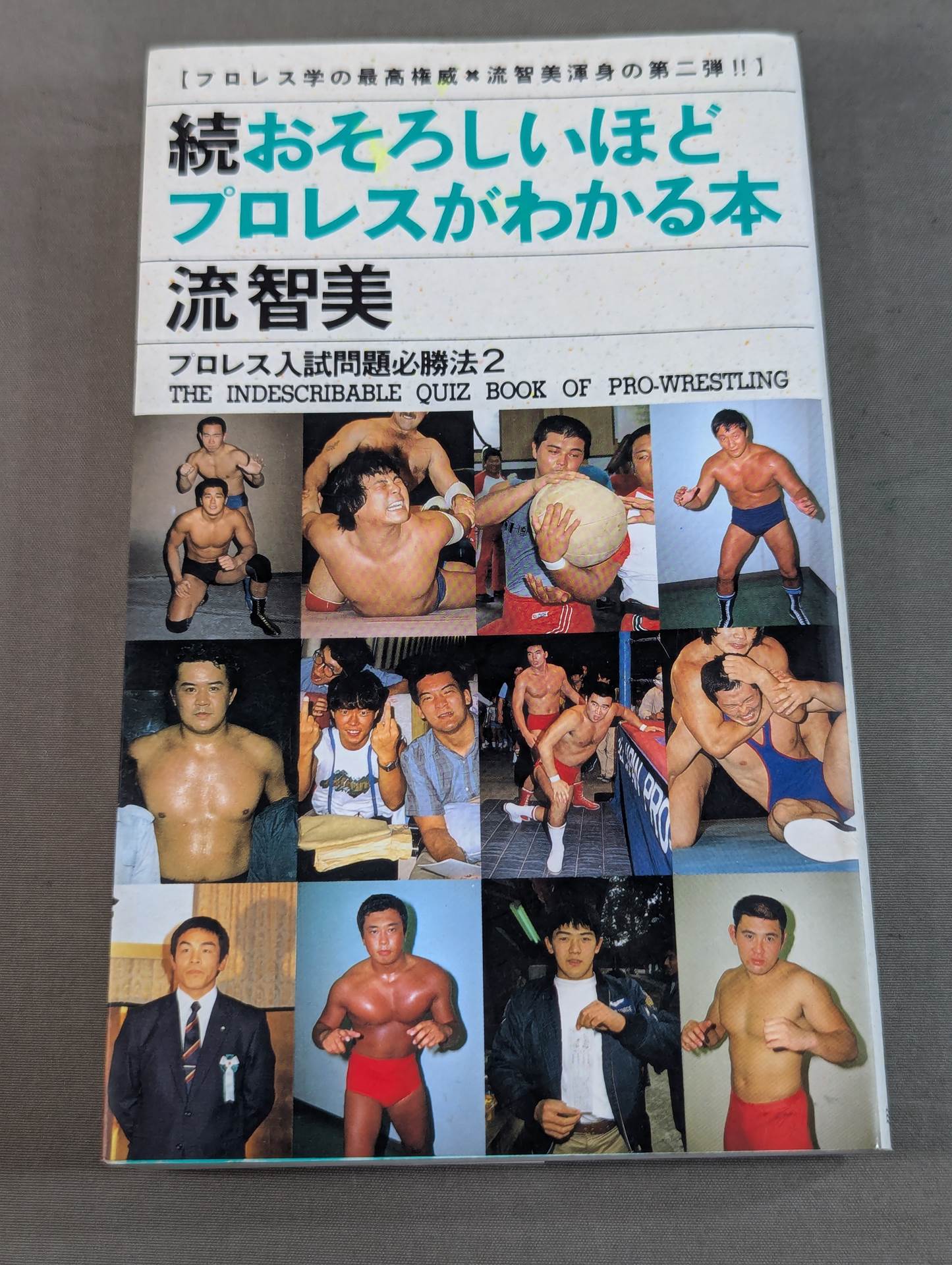 Continued: A book that shows Pro Wrestling  terribly