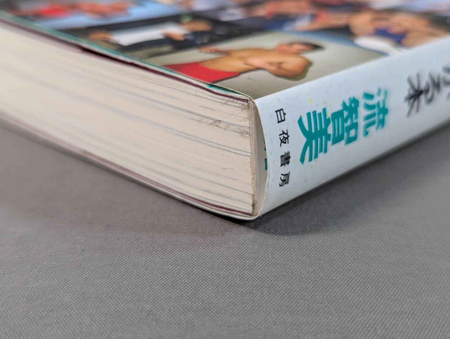 Continued: A book that shows Pro Wrestling  terribly