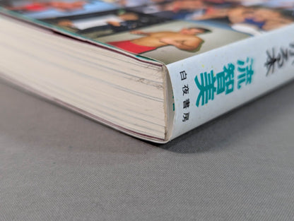 Continued: A book that shows Pro Wrestling  terribly