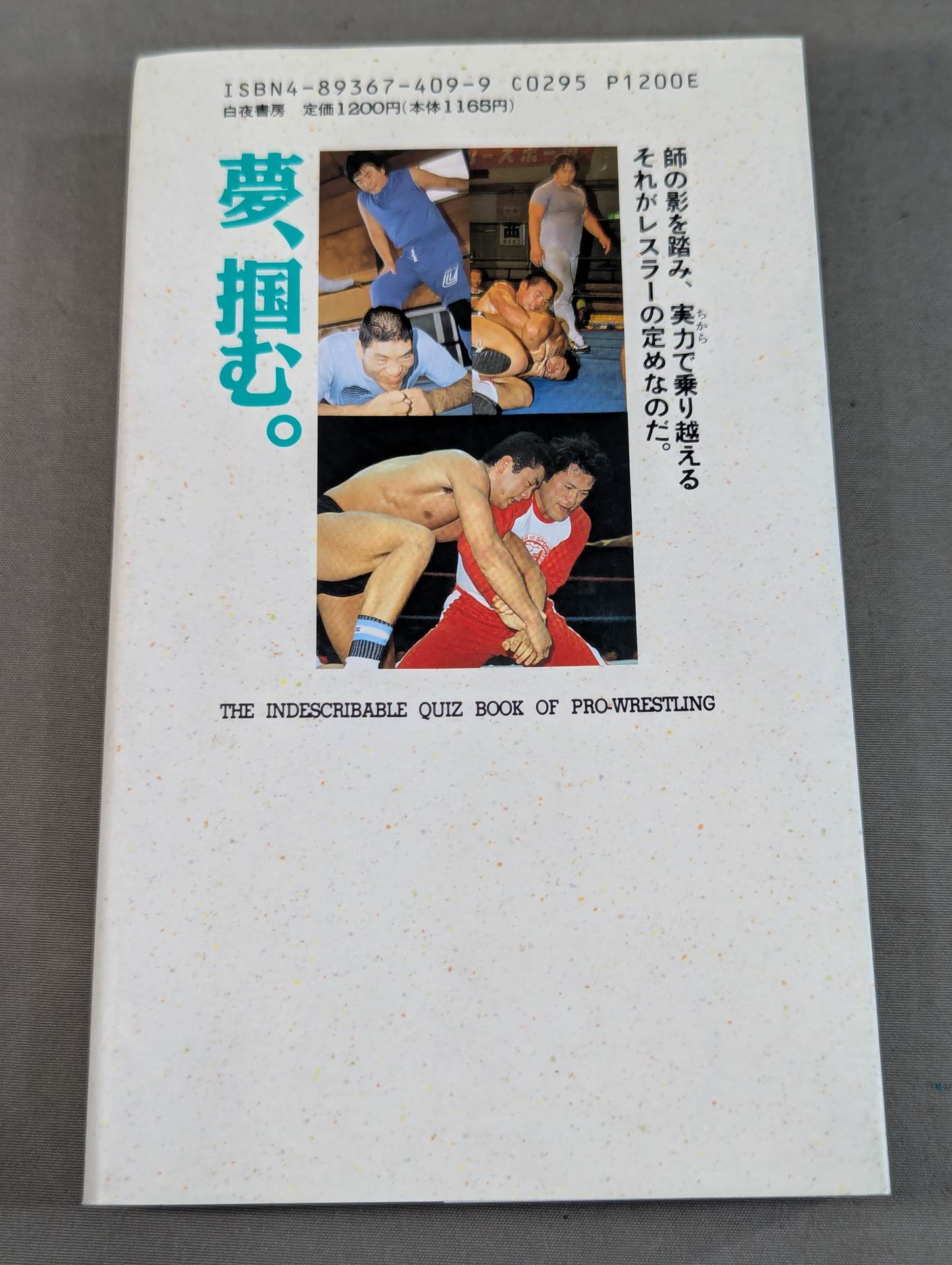 Continued: A book that shows Pro Wrestling  terribly