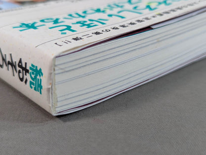 Continued: A book that shows Pro Wrestling  terribly