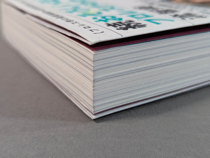 Continued: A book that shows Pro Wrestling  terribly