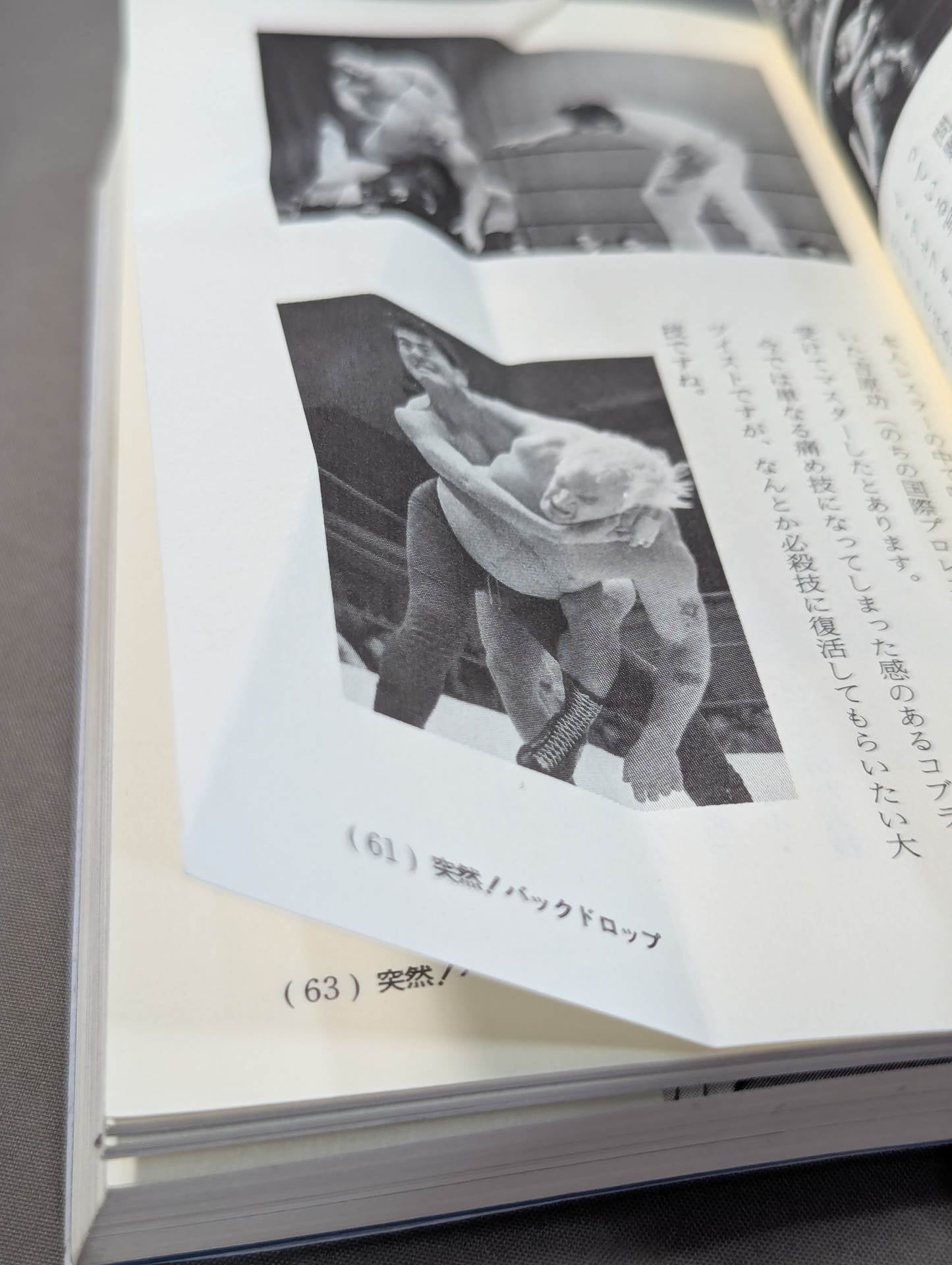 A book that tells you about Pro Wrestling so much that you can understand it frighteningly