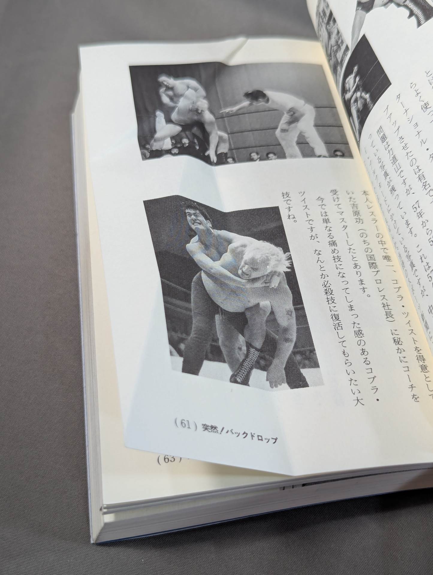 A book that tells you about Pro Wrestling so much that you can understand it frighteningly