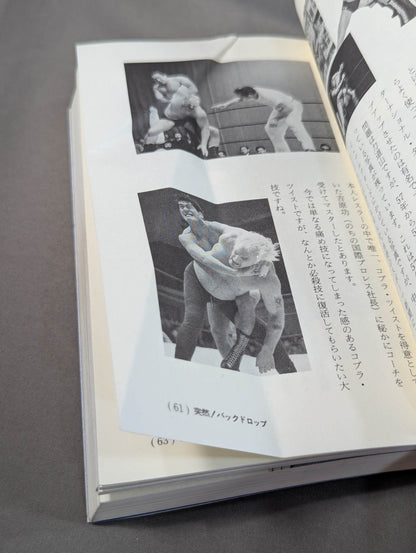 A book that tells you about Pro Wrestling so much that you can understand it frighteningly