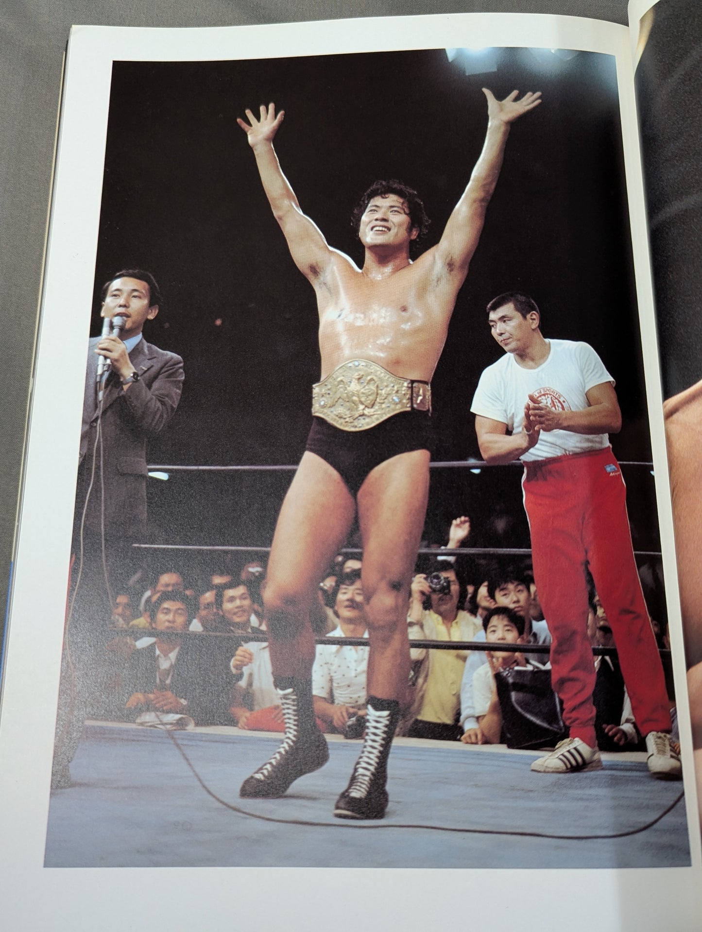 闘いのワンダーランド ワールドプロレスリングの15年