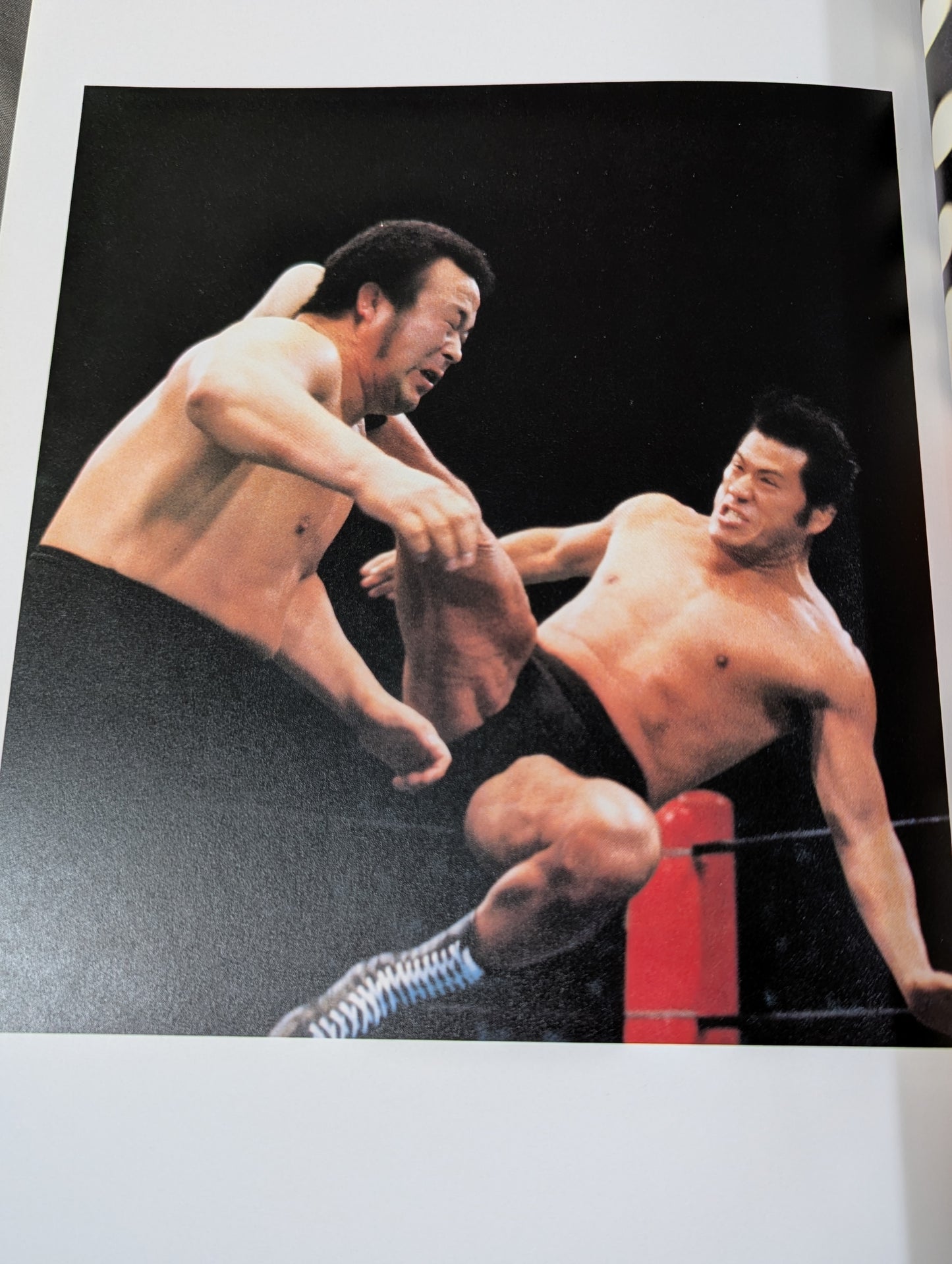 闘いのワンダーランド ワールドプロレスリングの15年