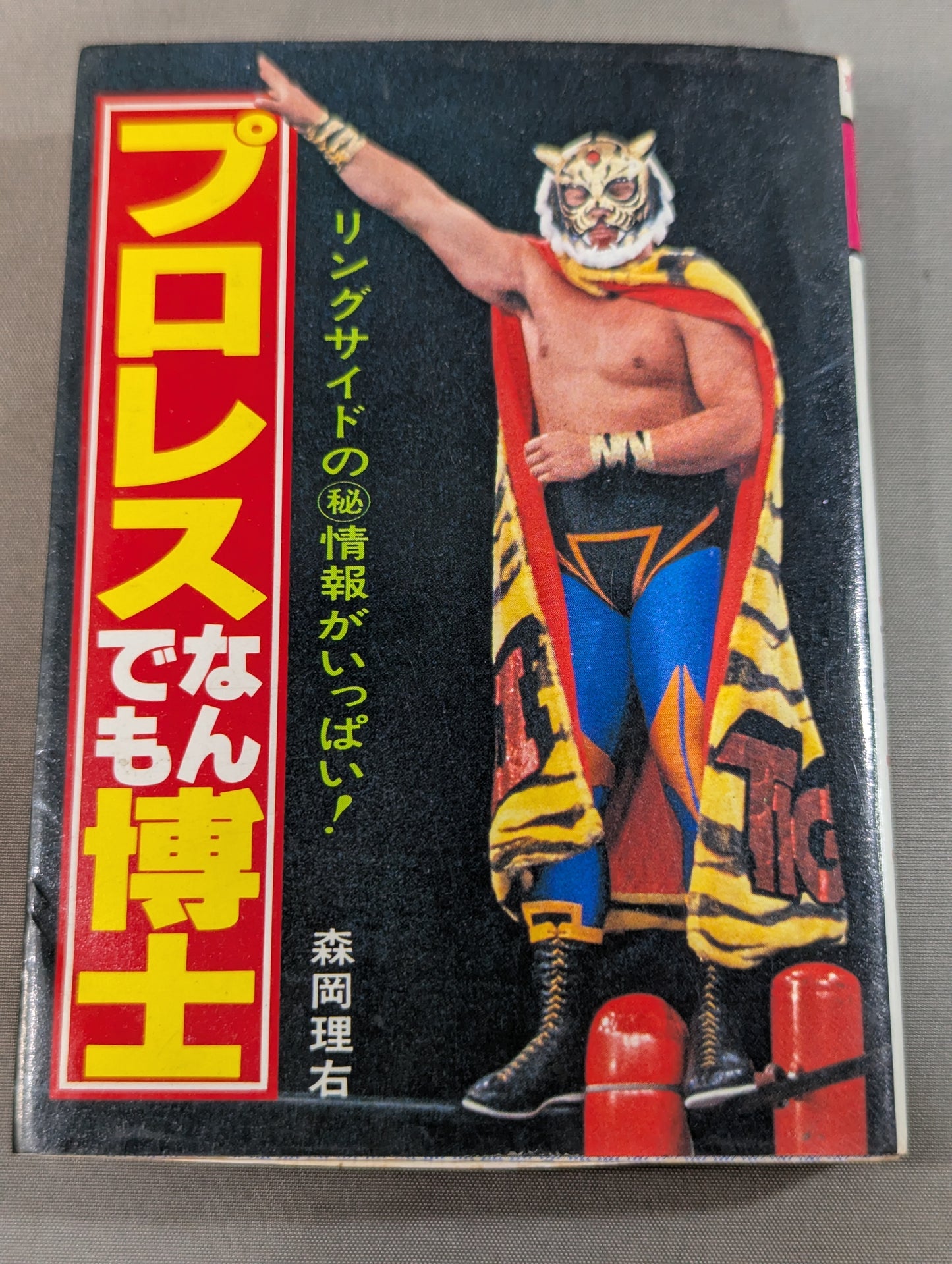 Mame Tanuki Book 166 Pro Wrestling  Anything Dr.