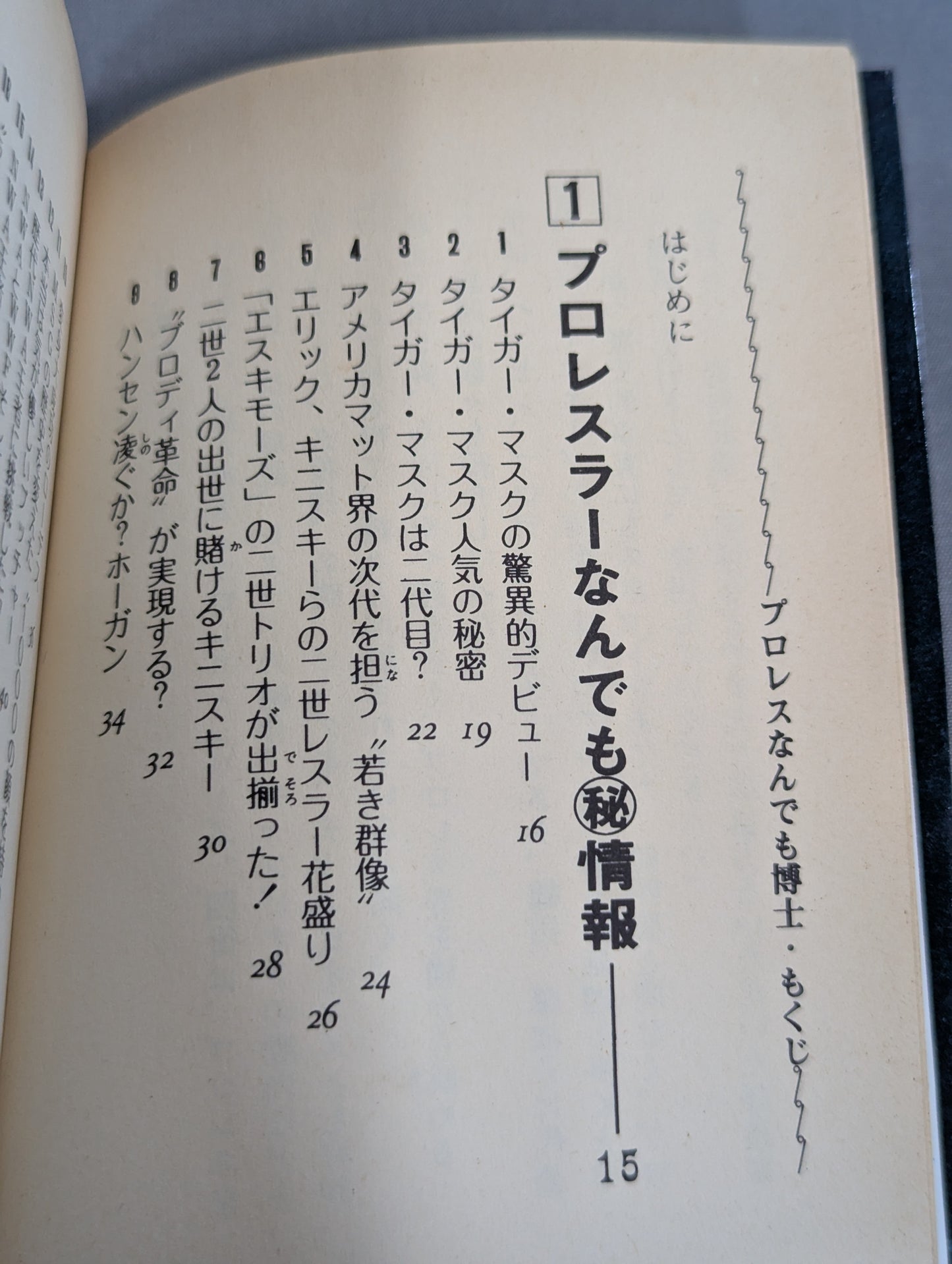Mame Tanuki Book 166 Pro Wrestling  Anything Dr.