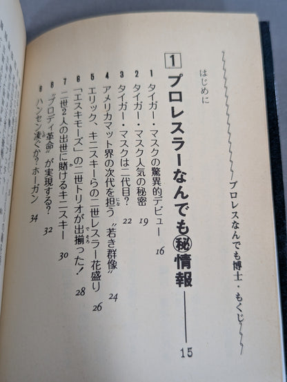 Mame Tanuki Book 166 Pro Wrestling  Anything Dr.