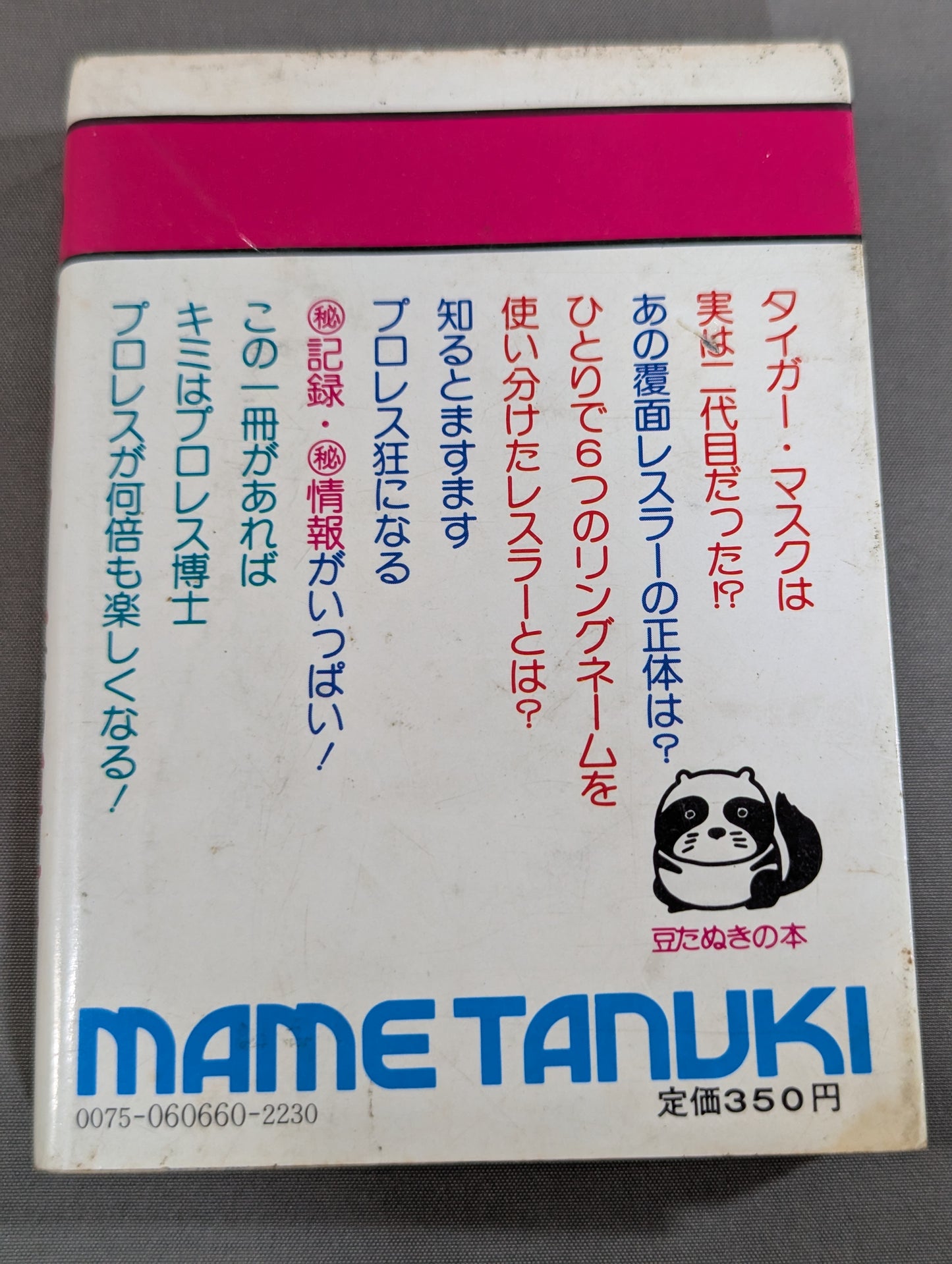 Mame Tanuki Book 166 Pro Wrestling  Anything Dr.
