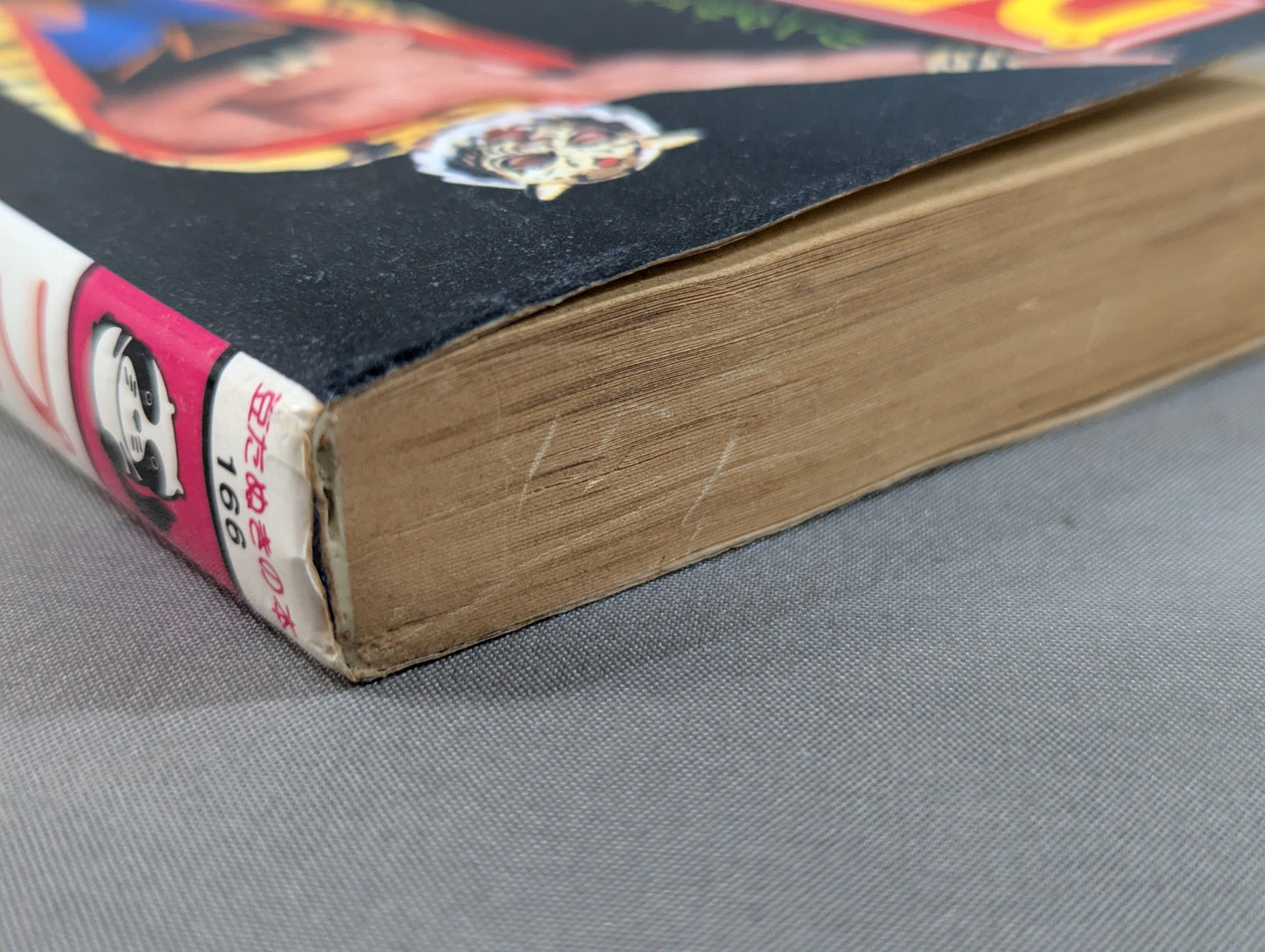 Mame Tanuki Book 166 Pro Wrestling  Anything Dr.