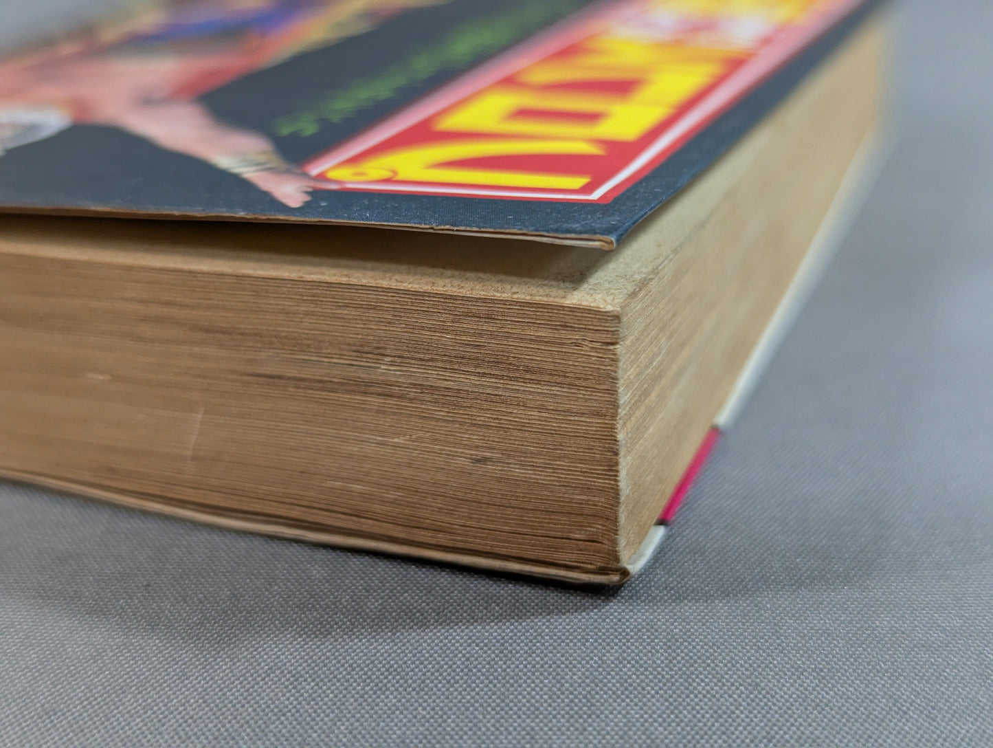 Mame Tanuki Book 166 Pro Wrestling  Anything Dr.