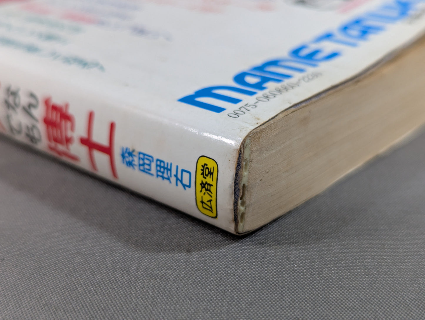 Mame Tanuki Book 166 Pro Wrestling  Anything Dr.