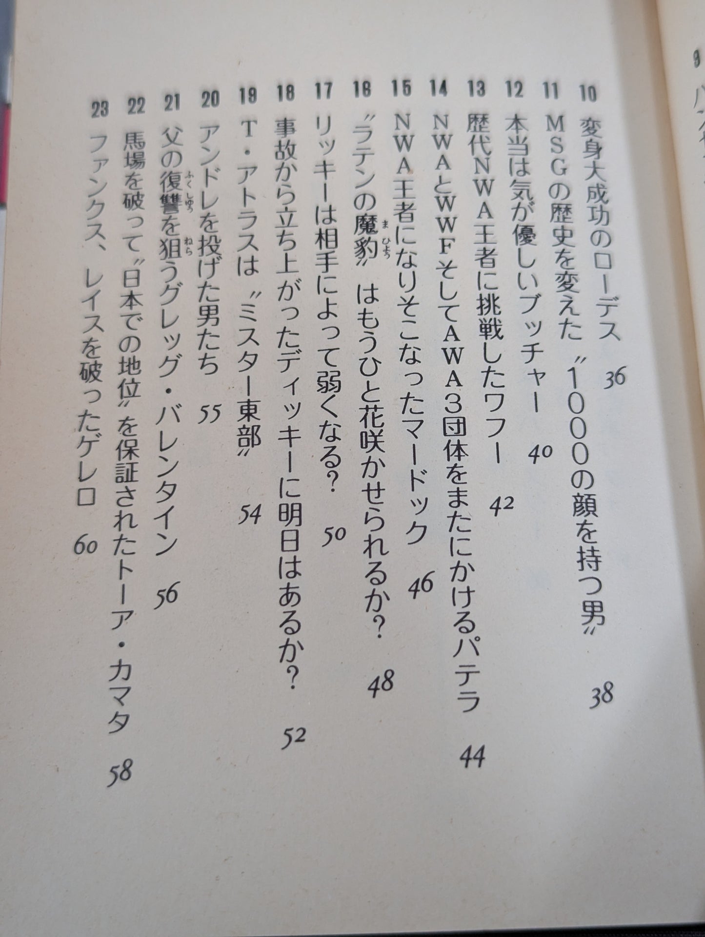 Mame Tanuki Book 166 Pro Wrestling  Anything Dr.