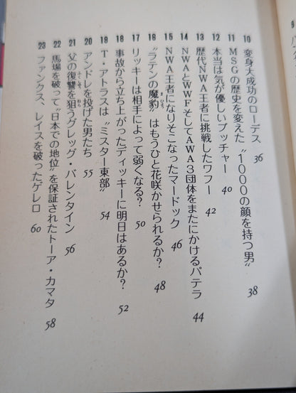 Mame Tanuki Book 166 Pro Wrestling  Anything Dr.