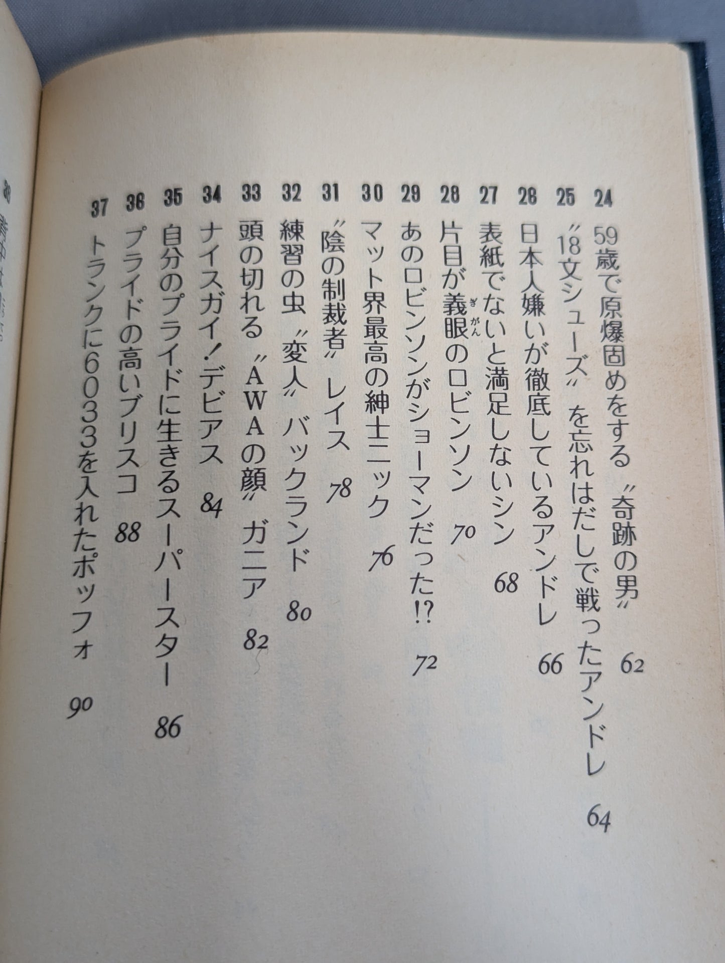 Mame Tanuki Book 166 Pro Wrestling  Anything Dr.