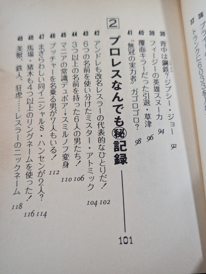 Mame Tanuki Book 166 Pro Wrestling  Anything Dr.