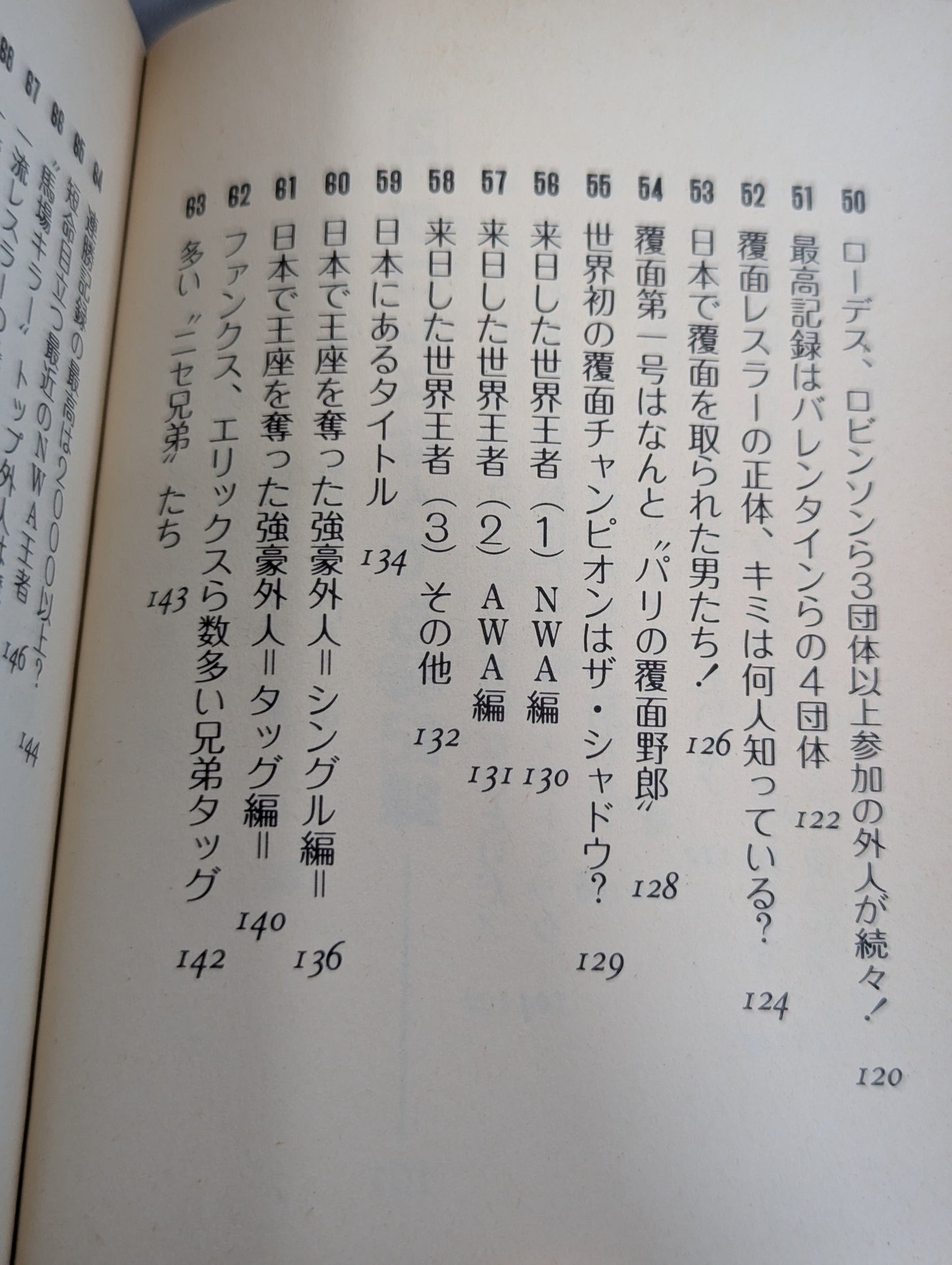 Mame Tanuki Book 166 Pro Wrestling  Anything Dr.