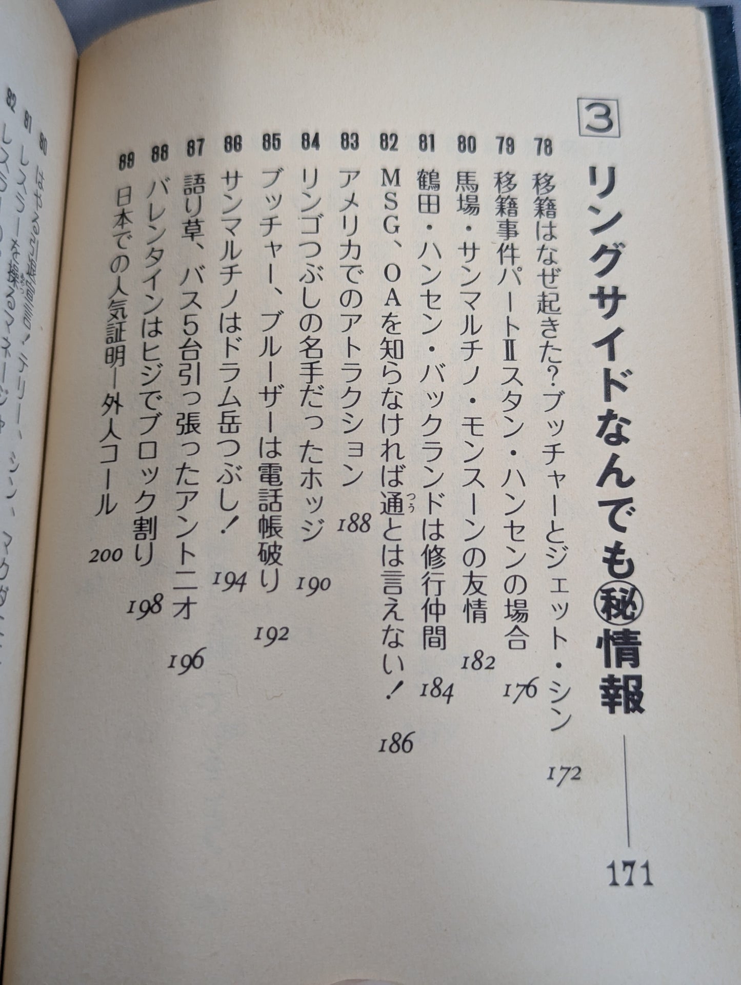 Mame Tanuki Book 166 Pro Wrestling  Anything Dr.