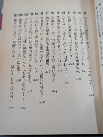 Mame Tanuki Book 166 Pro Wrestling  Anything Dr.