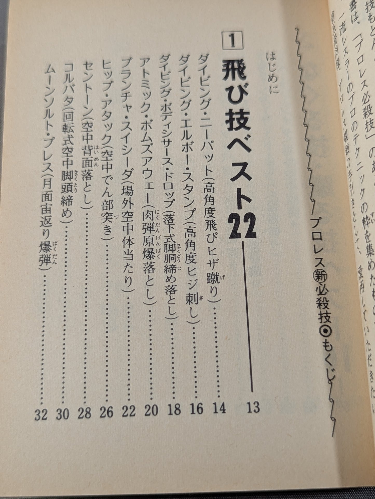 Bean Tanuki Book 174 Pro Wrestling  New Special Move BEST100
