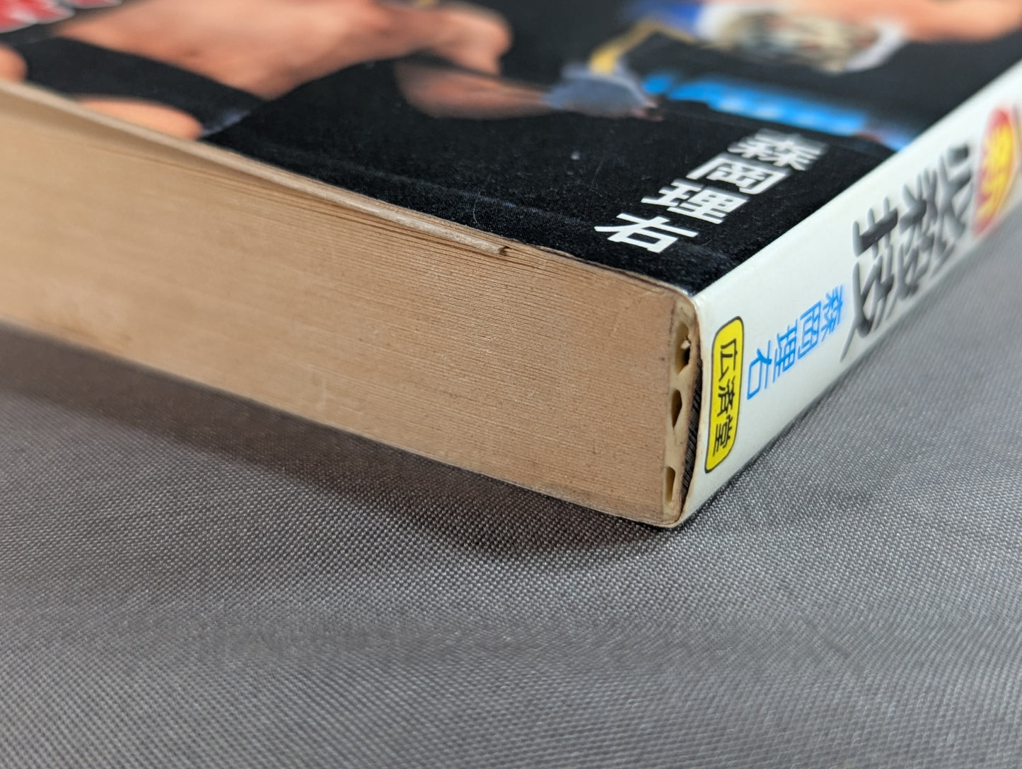 Bean Tanuki Book 174 Pro Wrestling  New Special Move BEST100