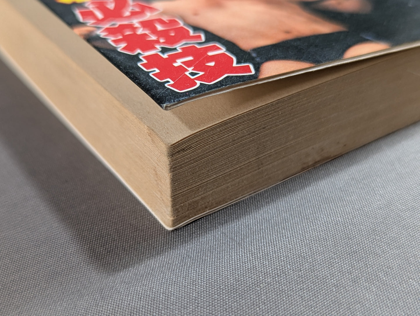 Bean Tanuki Book 174 Pro Wrestling  New Special Move BEST100