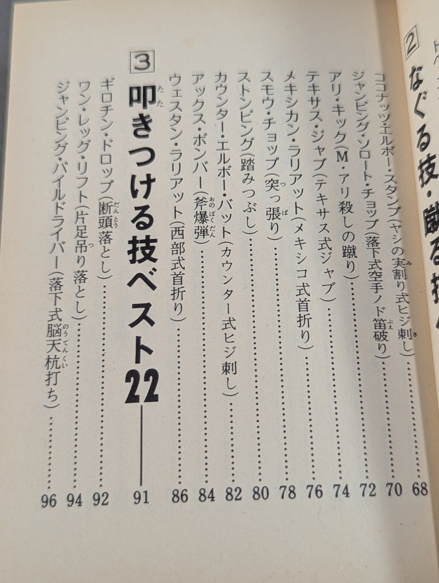 Bean Tanuki Book 174 Pro Wrestling  New Special Move BEST100