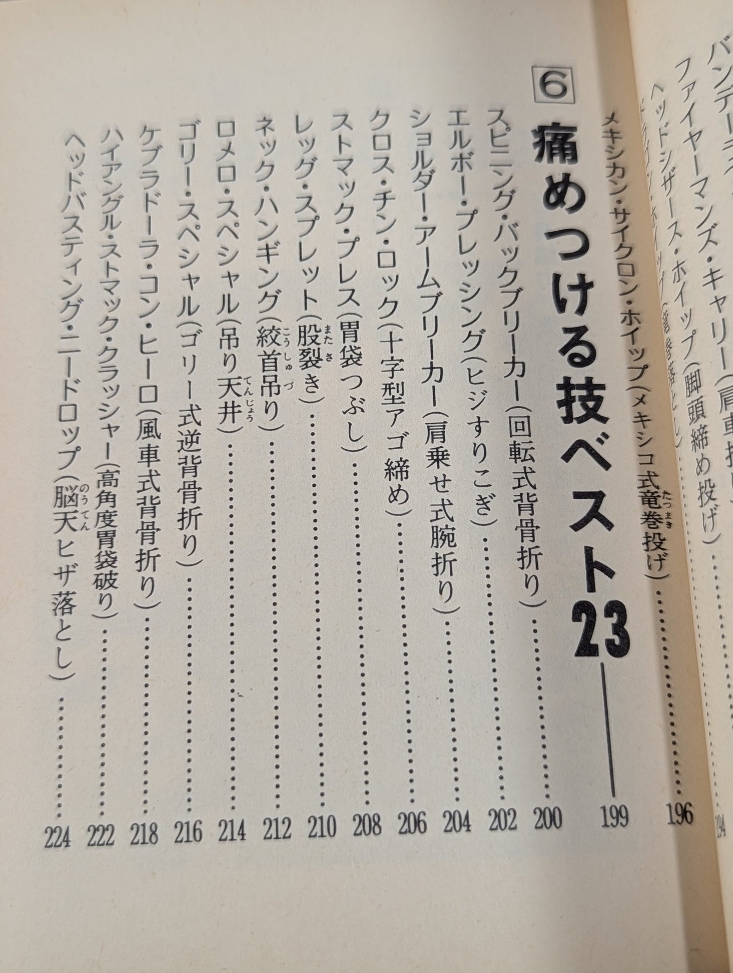 Bean Tanuki Book 174 Pro Wrestling  New Special Move BEST100