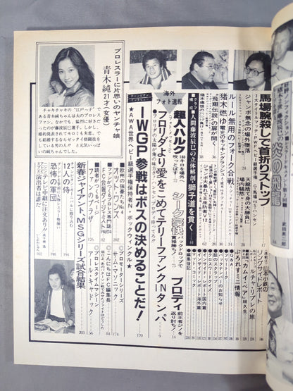 月刊ビッグレスラー 1982年4月号