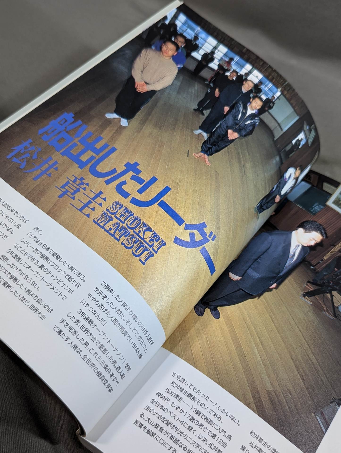 極真カラテ年鑑 第15号 極真カラテ96