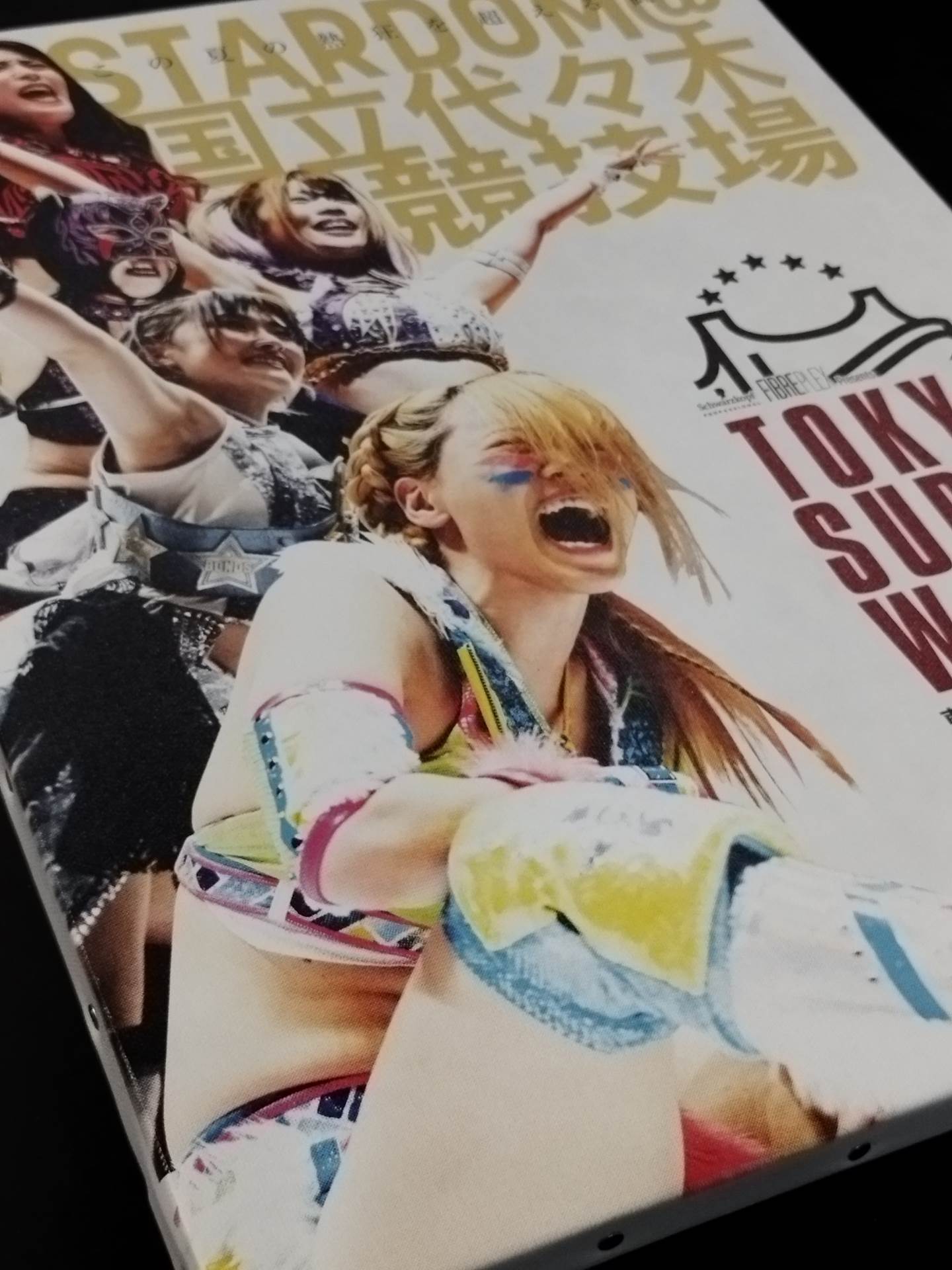 Stardom Tournament Poster Canvas Panel (Tokyo Super Women's Wars)
