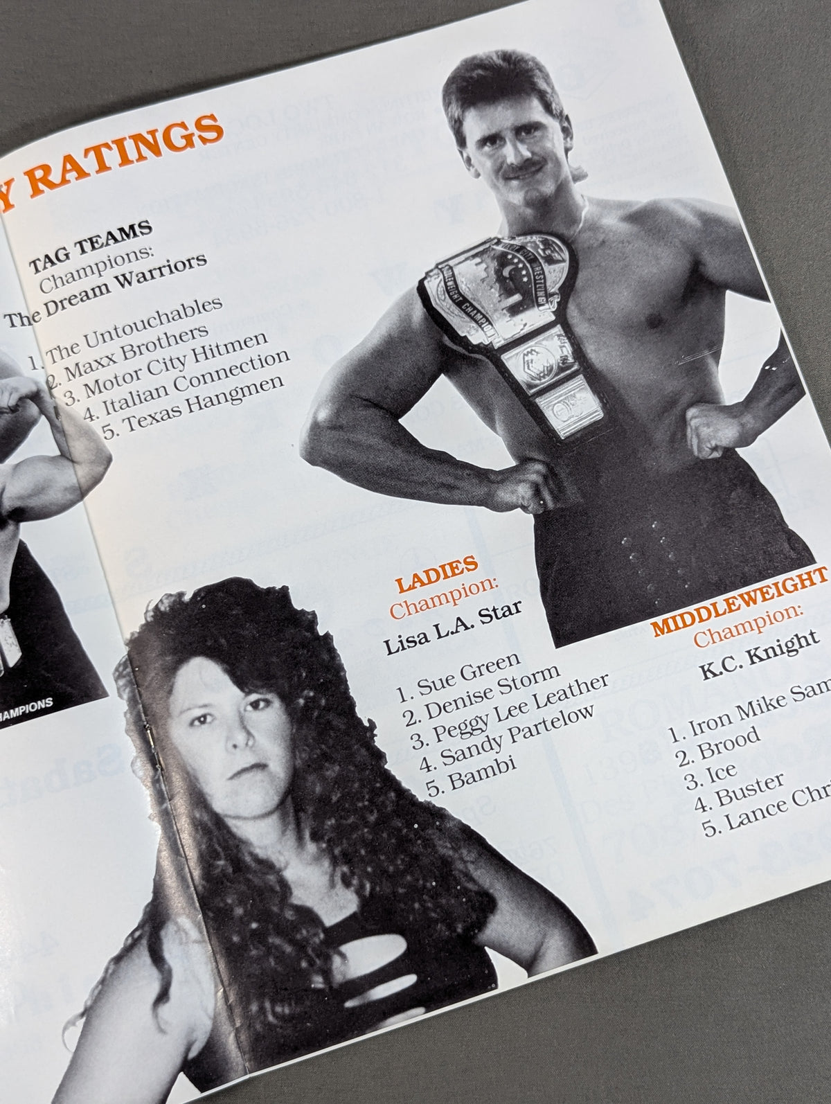 WCW(WCPW) / ALL STAR LINE-UP -Lucky Program- beyond the limit Norridge