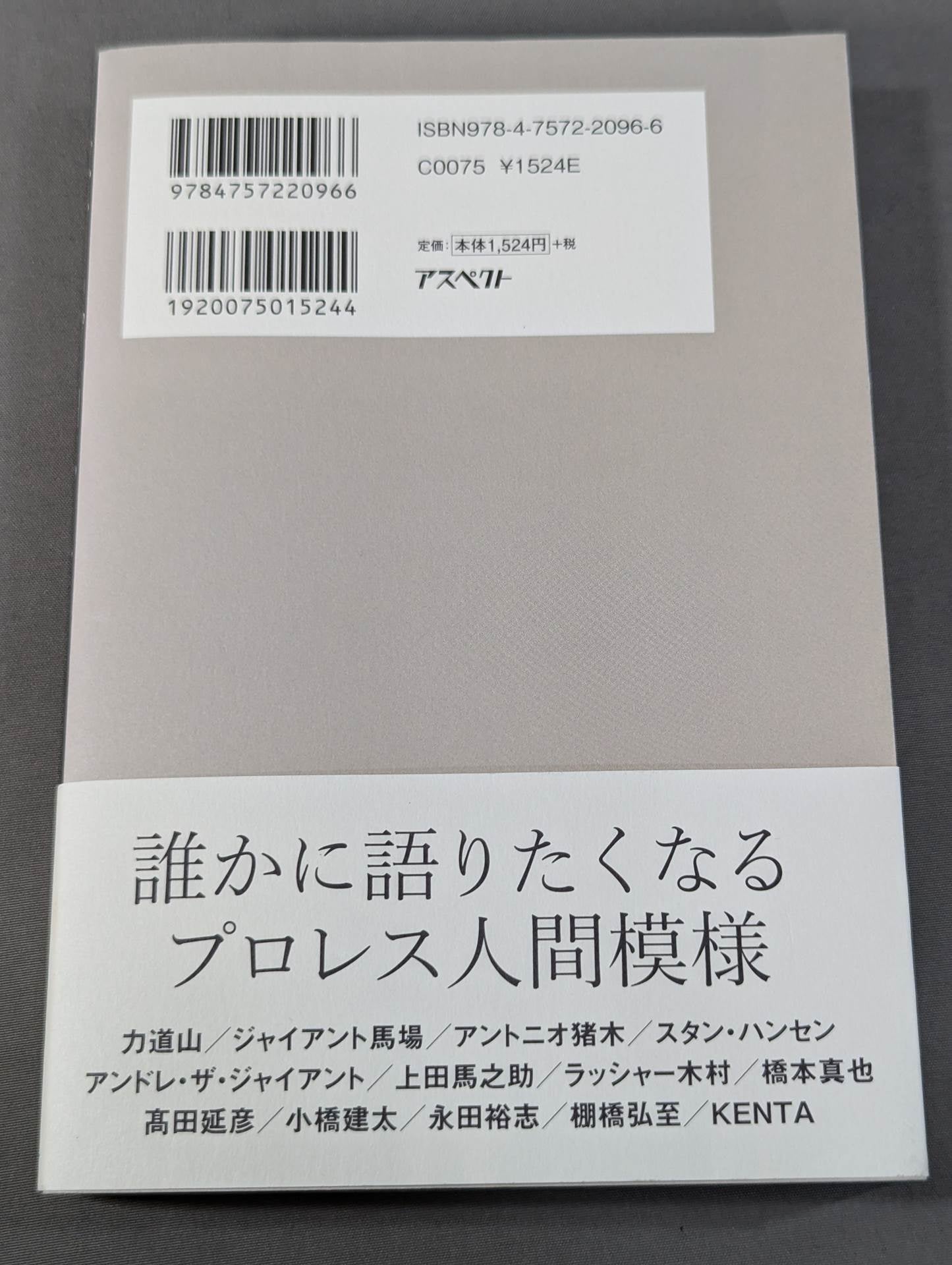 Pro Wrestling  Return Match / Tearful episode played by 33 famous actors in the ring