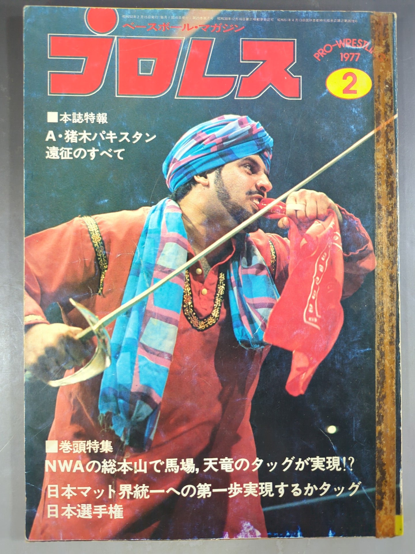 Pro Wrestling  Monthly 1977.02
