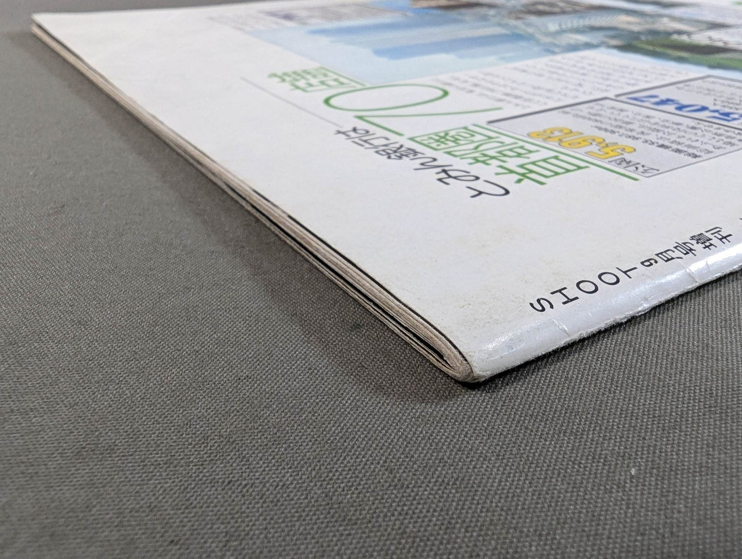 SHOOT⑨緊急臨時増刊 甦ったヒーロー The力道山