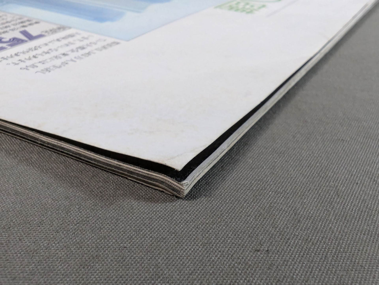 SHOOT⑨緊急臨時増刊 甦ったヒーロー The力道山