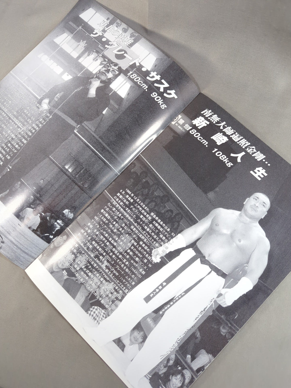 Michinoku Pro Wrestling / HELLO! Yokosuka