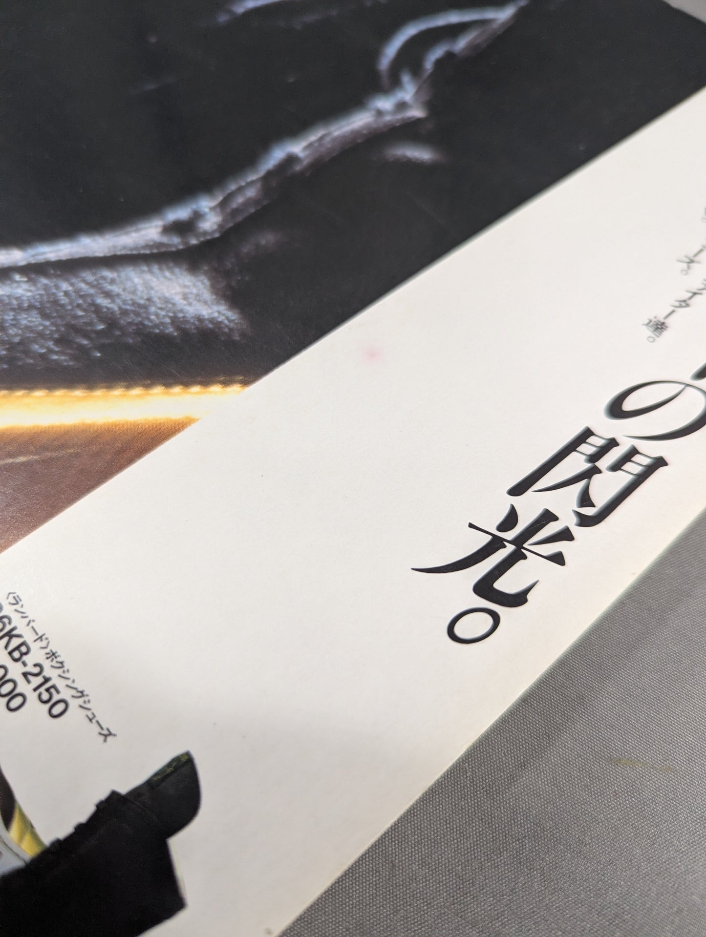 The Turbulent History of Showa Sports (15) [Boxing]