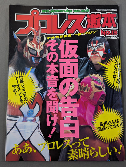 Pro Wrestling Extreme Book No.13