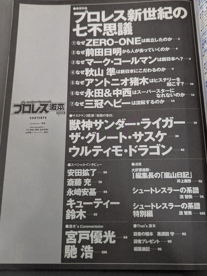 Pro Wrestling Extreme Book No.13