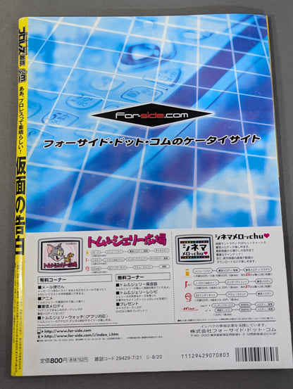Pro Wrestling Extreme Book No.13